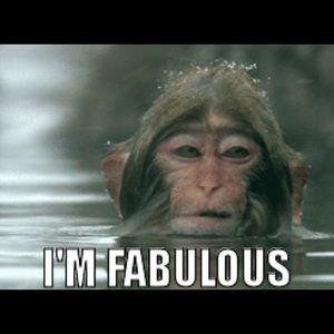 Meet your Posher, Aaron